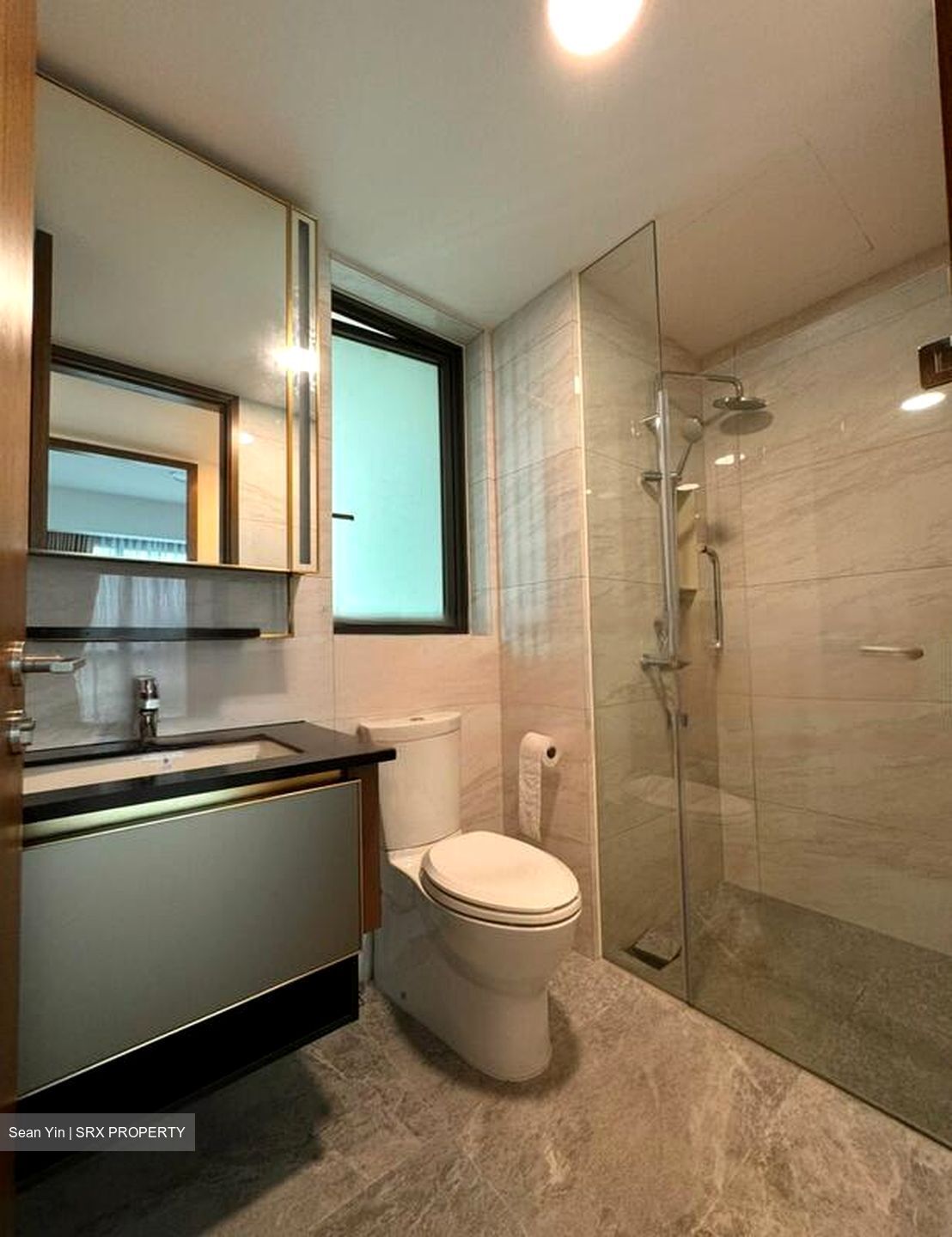 Normanton Park (D5), Apartment #459242581